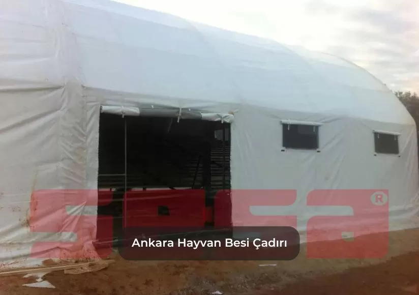 Hayvan Besi Çadırı
